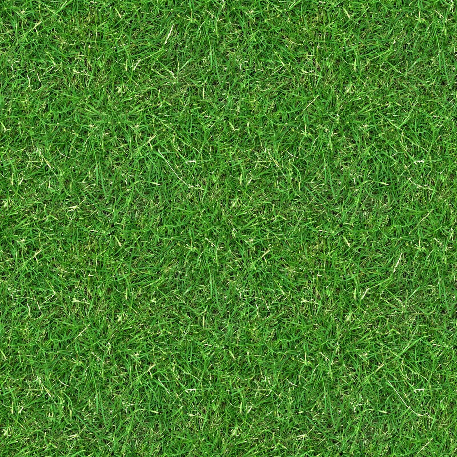 unity grass texture download
