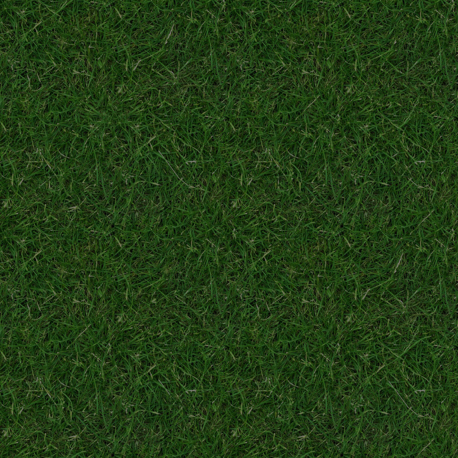 (GRASS-3)-seamless-turf-lawn-green-ground-field-texture2 - Boys & Girls ...